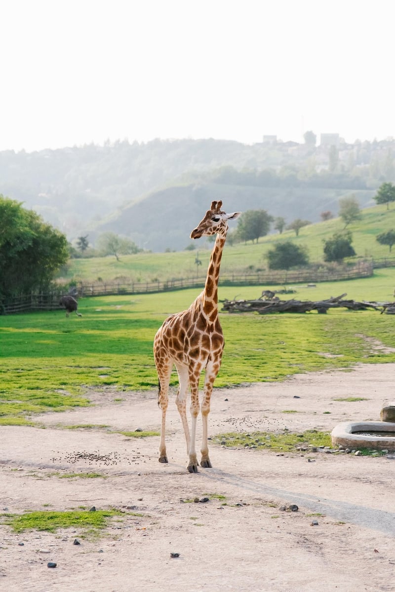 San Diego Zoo